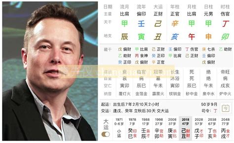 elon musk 八字|分析馬斯克的紫微斗數命盤：機月同梁格也能成為世界。